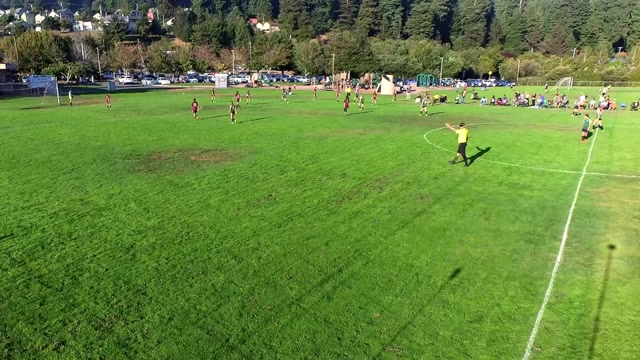 Sequoia FC 11G vs EFC - 2013G