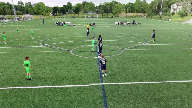DUSC vs cedar stars