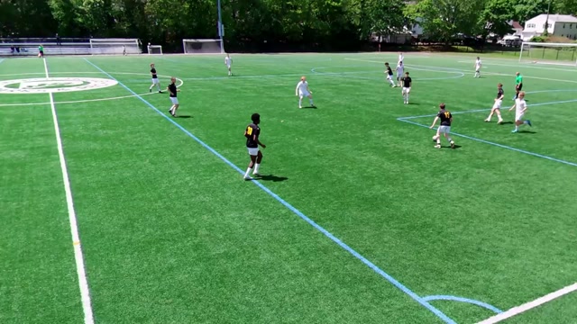 BWP Albany vs Westchester Flames 2007 Premier