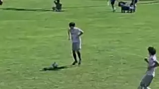 player 25
