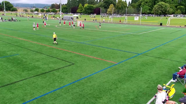 Team Oregon 2029 vs Limitless - K9’s