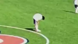 player 43