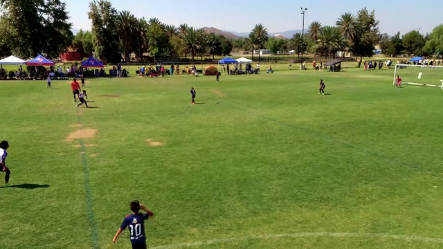 TFA - Glendale vs TFA Pro 2017