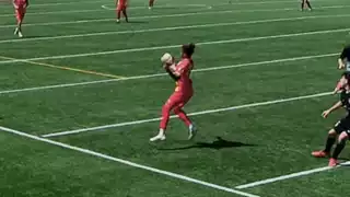 player 24