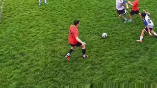 player 24