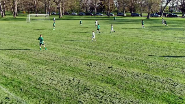 Niagara Pioneer vs 2010 Boys - Milne