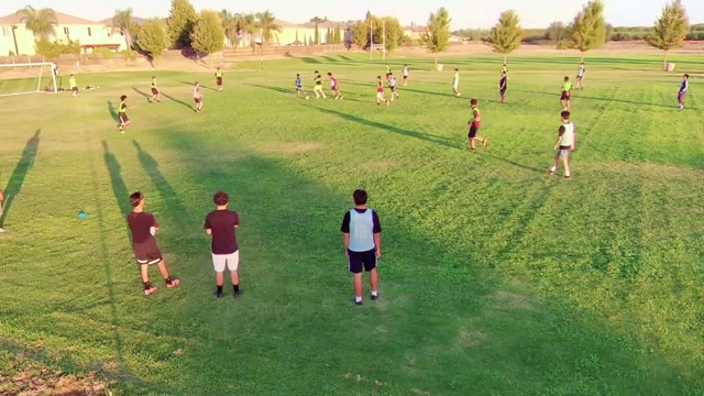 Training vs Elite 07