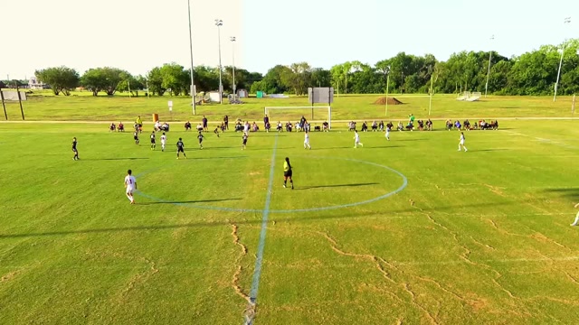 06 Solar vs Alpha Forms 2014