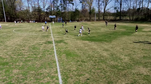 Vandalia Christian School vs Gva lady lions