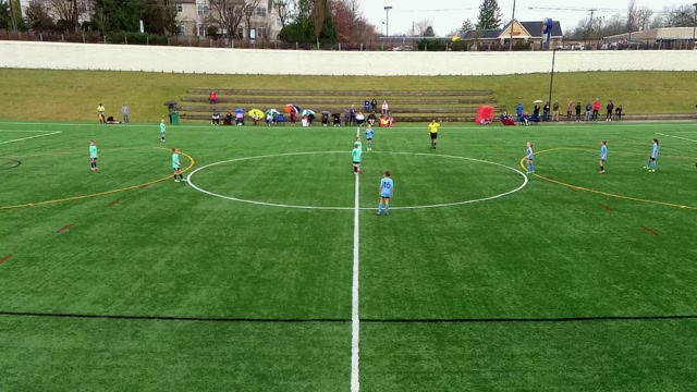 TFA G16 vs Mercury LF