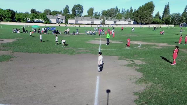 Hammers U8 vs OC Lions FC U6