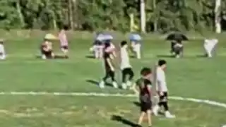 player 96