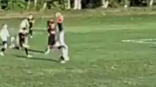 player 733