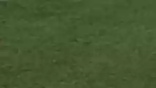 player 7