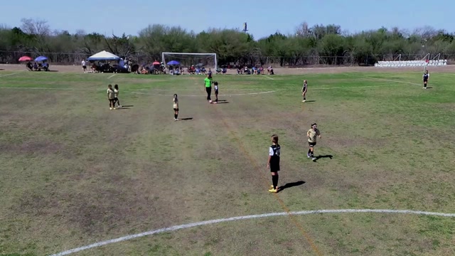 Lion Kings 15/16G vs Lonestar SA 16G Red