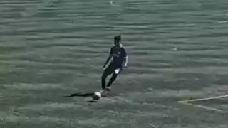 player 31
