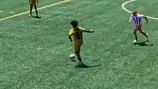 player 81