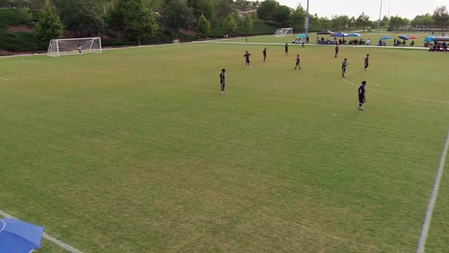 Fasc B10 npl vs Ocelot Academy 2010