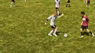 player 31