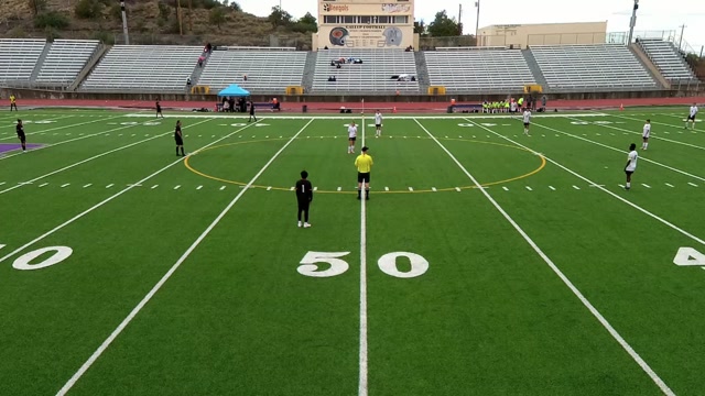 Gallop vs Owls