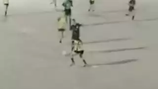 player 24
