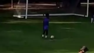 player 24