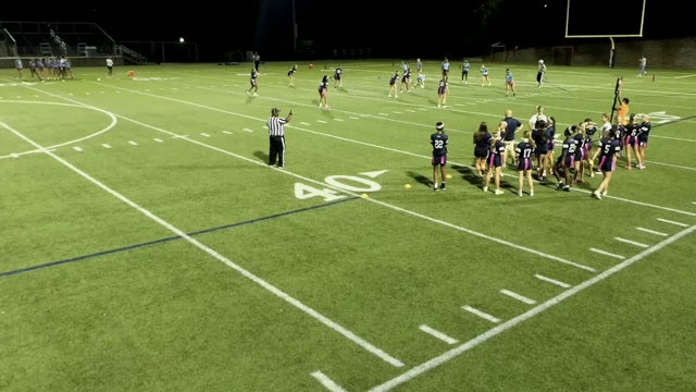 Lovett vs NPHS JV