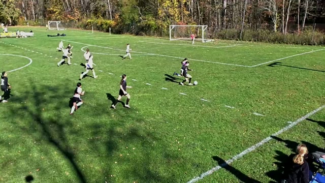 Fox Soccer Academy vs Brooklyn Academy United G2015/2016 youth soccer highlights