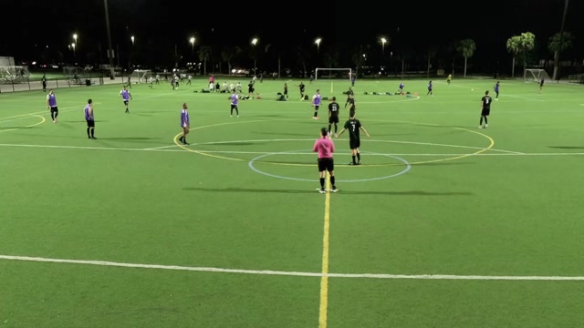 Purple Haze vs Black Lions