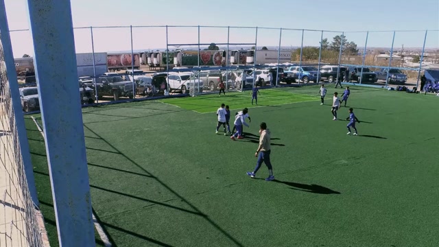 Cobras 2015 vs 2014 Locomotive Gold