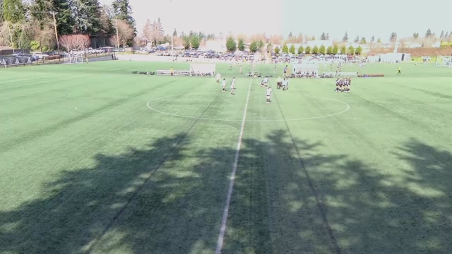 Genesis 10G vs White 1