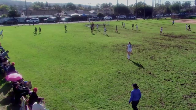 Gold Vs black vs Lady Hawks