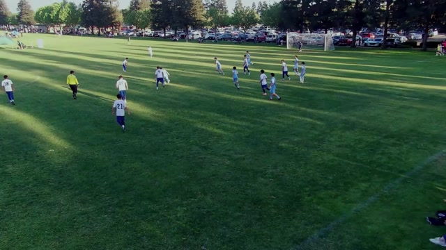 CV 2012 vs Terra bella 2011