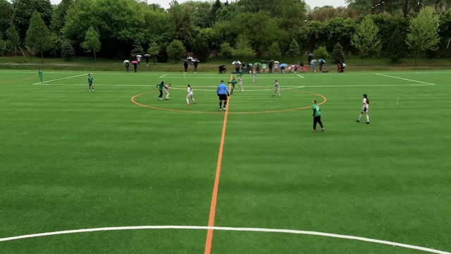 MSI 2015G Gold vs VYS Red 15G