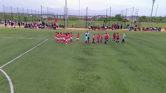 Birds Of Prey vs AC River