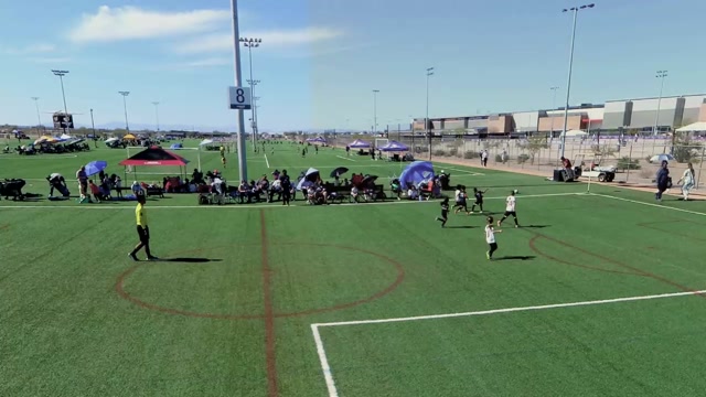 Paladin 18 Nosiru vs Sharks