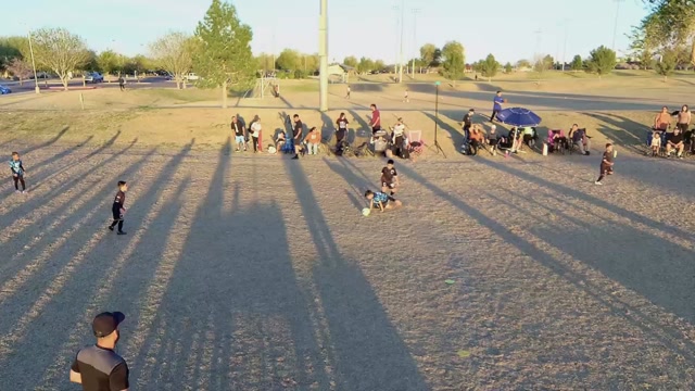 S48 Cobras vs Sharks