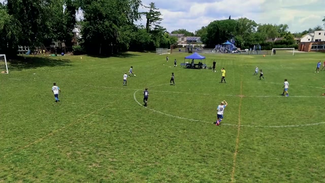 Hewlett vs Elite