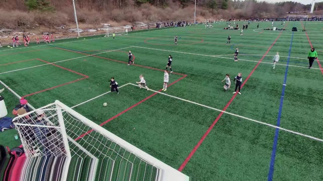 NEFC Newton girls academy 2014 vs NE Surf G2014 State Royal