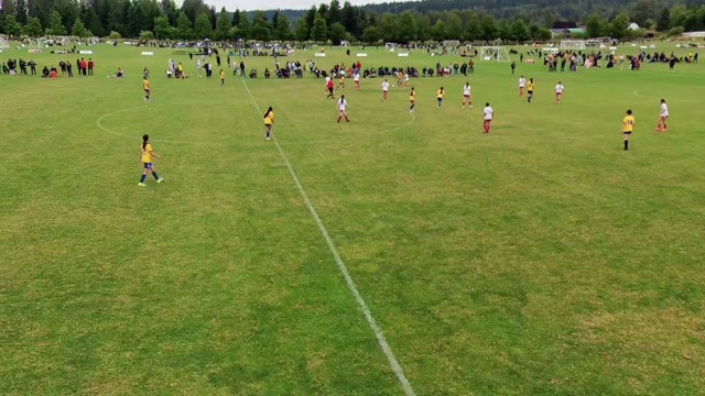 Black Hills FC GU15 vs LW G12