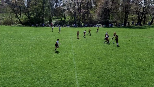 Jenkintown vs Cheltenham Cheetahs G2015