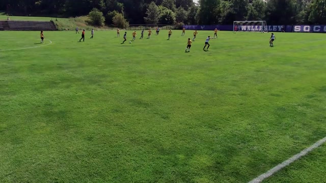 Fitchburg state vs Wellesley College