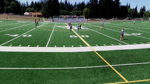 FC blaze vs OP FLASH