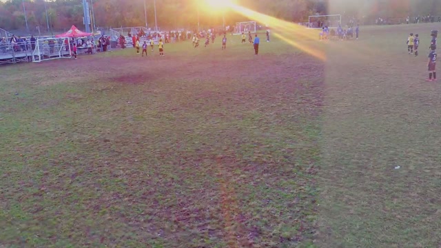 NY Eagles Sc vs Las Águilas youth soccer highlights