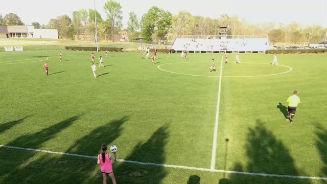 Mountain View Prep vs Lady Wolverines