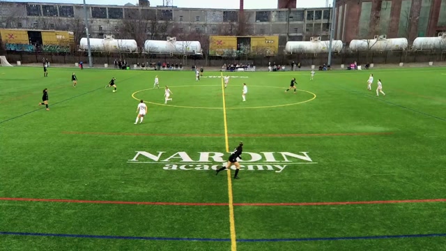 Buffalo pro 2010 vs DSC Dynamite