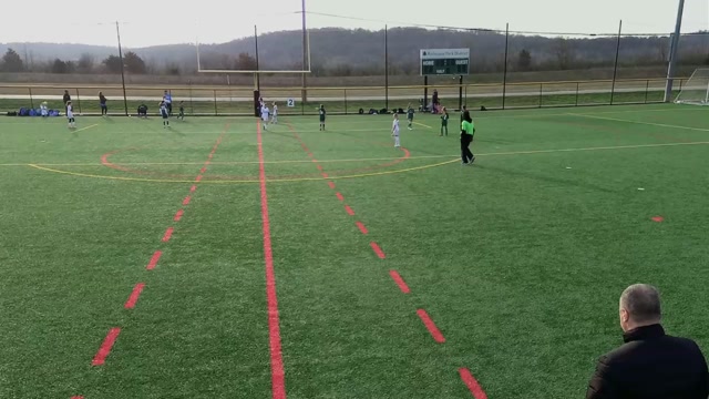 Game 3 vs 2017WBGreenJags