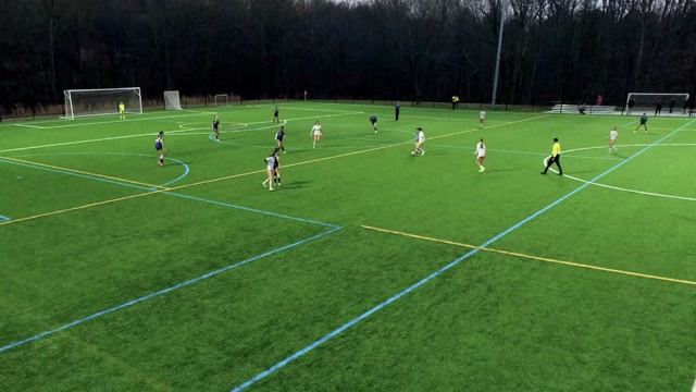 Fox Soccer Academy 2013 G DPL vs CISC 13G Regional Academy 