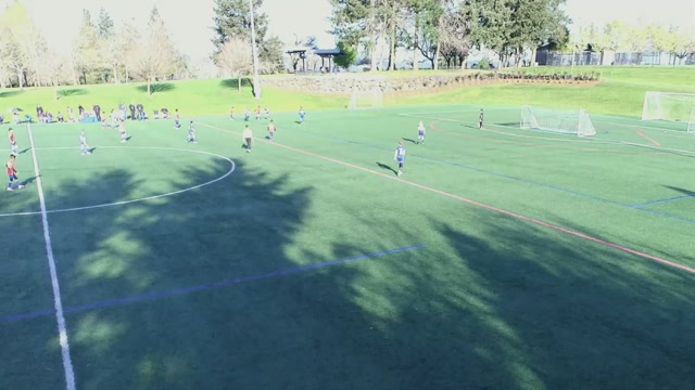 Albion SC 14B vs Westside metros 2014 Samba