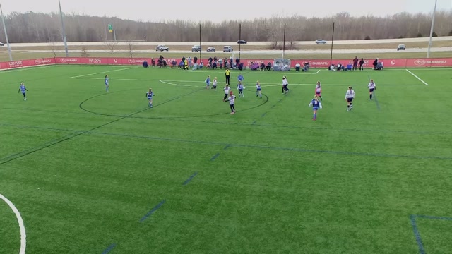 Car shield FC 2015 vs 2015 Pink